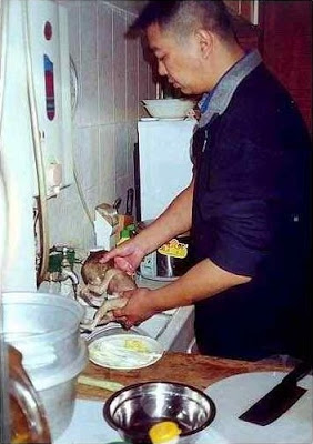 Zhu Yu Comiendo Personas
